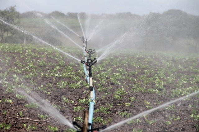 Geen last van droogte dankzij de beregeningspomp